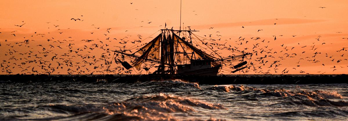 Private 8 Hour Fishing Trip In Panama City Beach